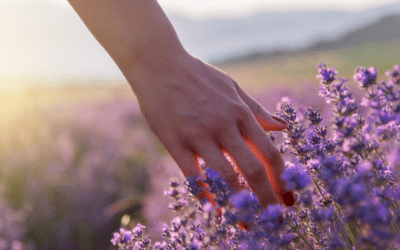 Lavender Swirl Nails: Frühlingsvibes auf den Nägeln