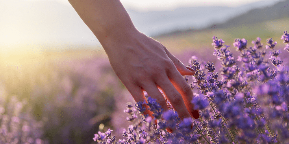 Lavender Swirl Nails